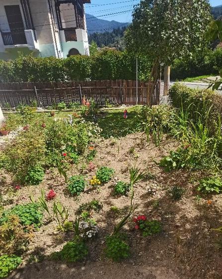 Predeal-Apartament cu doua camere mobilat si utilat - 9