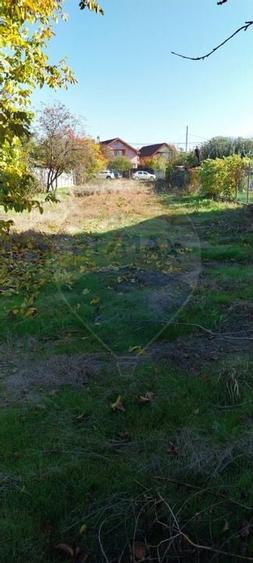 Teren/Loc de casa parcelabil, intre case, 800mp Simnicu de Sus - 12