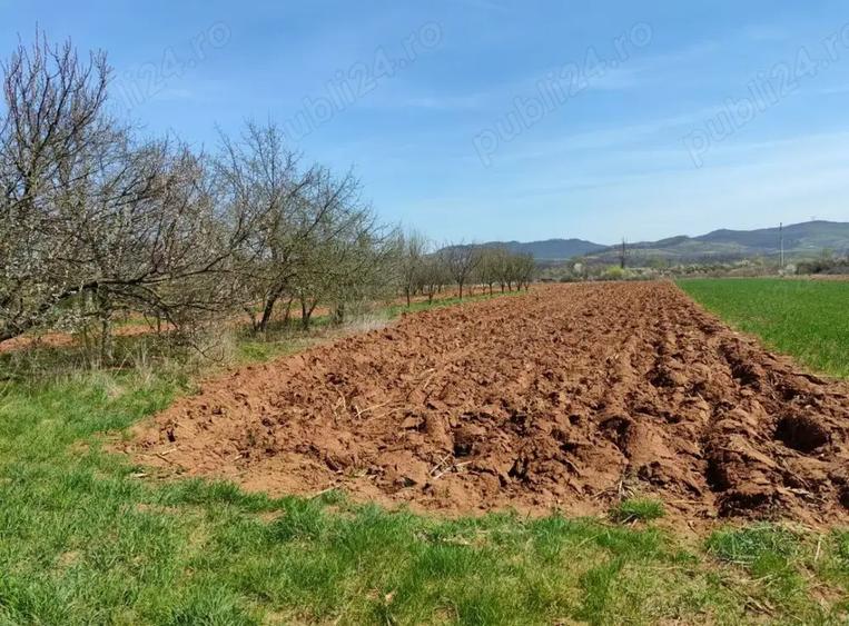 casa cu teren, casa, teren, pamant, apartament, garsoniera - 2