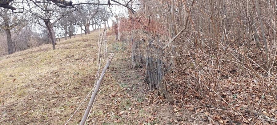 Teren de vânzare – Brașov, zona Dupa Iniste, 2710 mp - 10