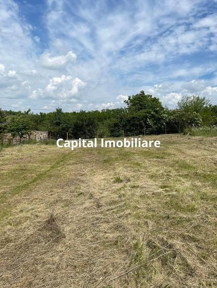 Teren de vanzare in Jucu de Sus: 1763 mp - 8