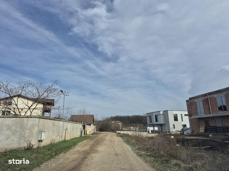 Teren cu gaz si electrica-hotar, 28000 E, padure - 2