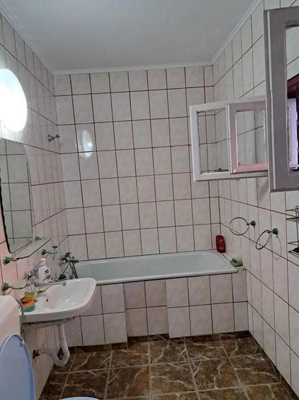 OFERTA in Bacia, Hunedoara ! Proprietate 2 case + Cabana + Livada - 6