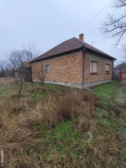 Vand casa in serbia jasa tomic - 10