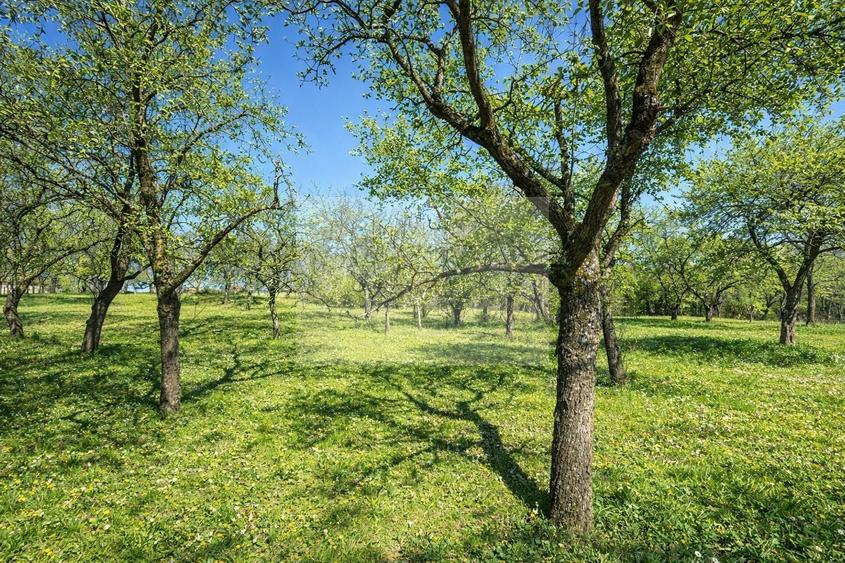 Proprietate cu potențial pensiune – sat Masca, 45 km Cluj - 8