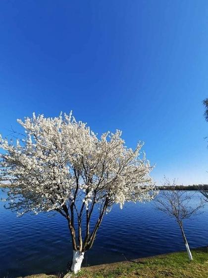 Apartament superb 3 camere gradina pe lac Damaroaia - 1