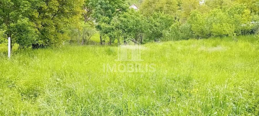 Teren intravilan | Budiu Mic | 994 mp - 7