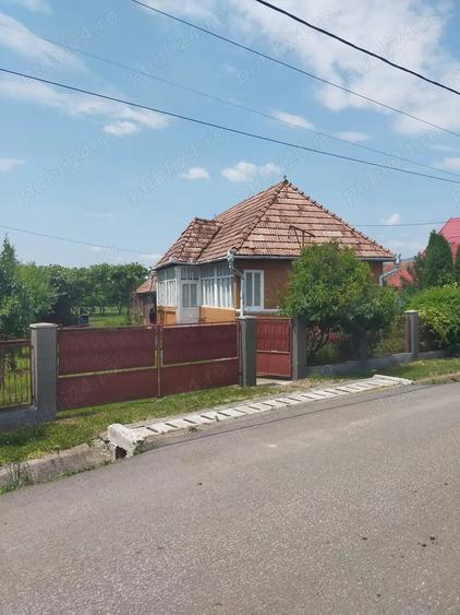 Vand casa Ru?ii Munti - 4