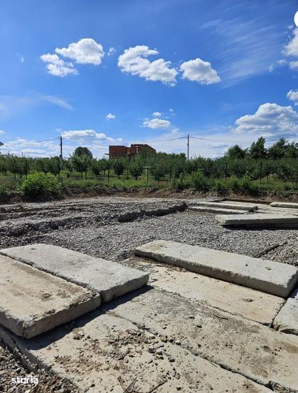 Teren Paulesti Prahova ,str.Retezat ,zona verde,orice activitati - 6