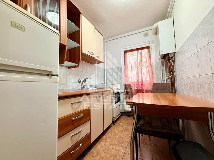 Apartament cu 1 camera, ideal pentru investitie, Zona Circumvalatiunii - 4