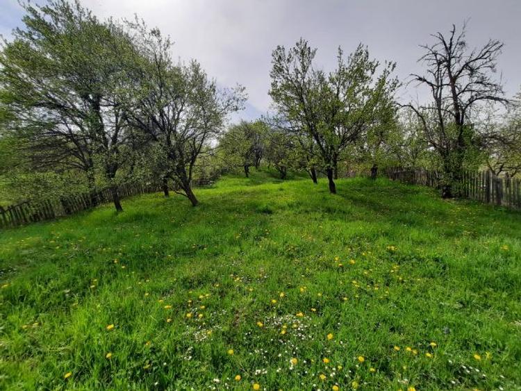 Teren intravil, VDRusu, Construcții, Investitie, La princip, Acte OK, Certif Urbanism  - 5