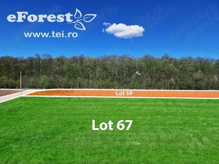 Teren de 720 mp, în Cocani