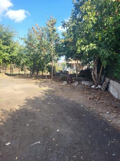 Teren intravilan zona Viile Noi - 13