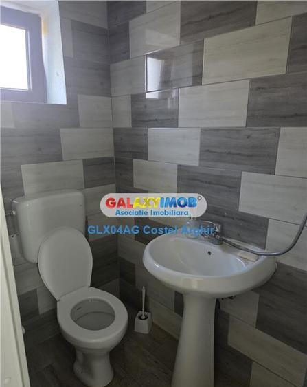 Inchiriem vila in Budeasa, mobilata si utilata - 10