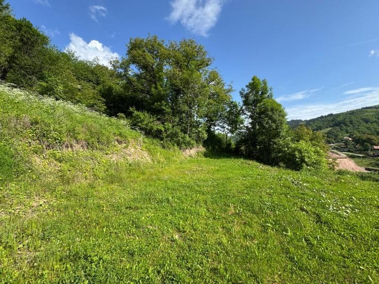 Casa de vanzare, 5 cam., 200 mp. + 5000 mp. teren, Valea Ariesului - 7