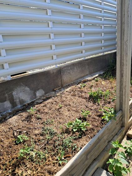 Dumbravita-apartament in triplex-190.000 € - 6