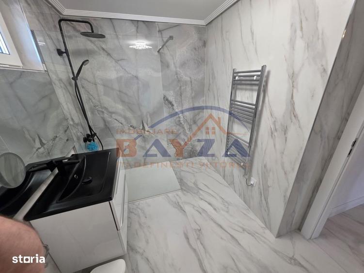 Casa superba P+E+M, teren 5.000 mp Viile Cicarlaului - 10