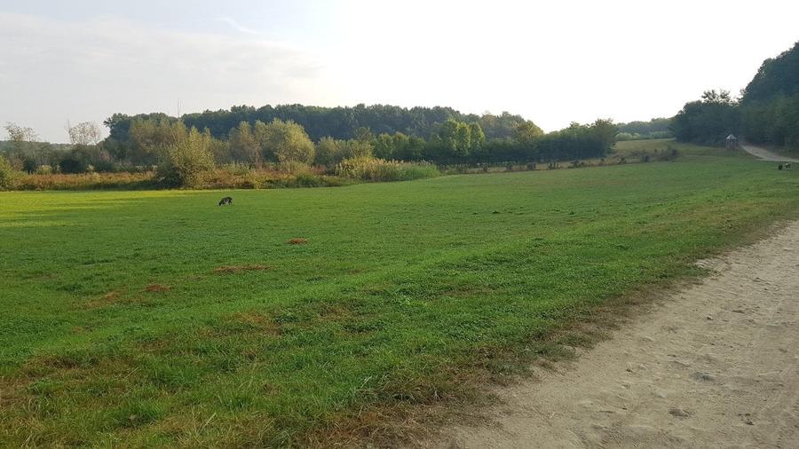 Teren constructii zona Cisnadioara - 4