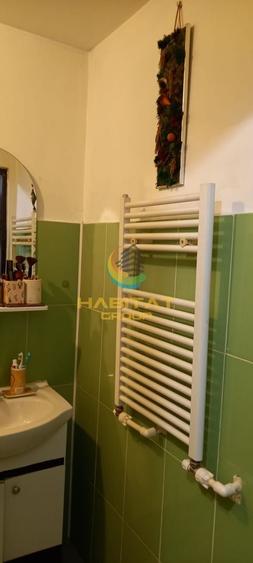 Apartament tip studio mobilat+ curte proprie- Dimitrie Leonida - 8