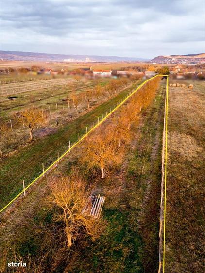 RECO Teren intravilan pentru loc de casa 5342 mp- sat.Hotar - 6