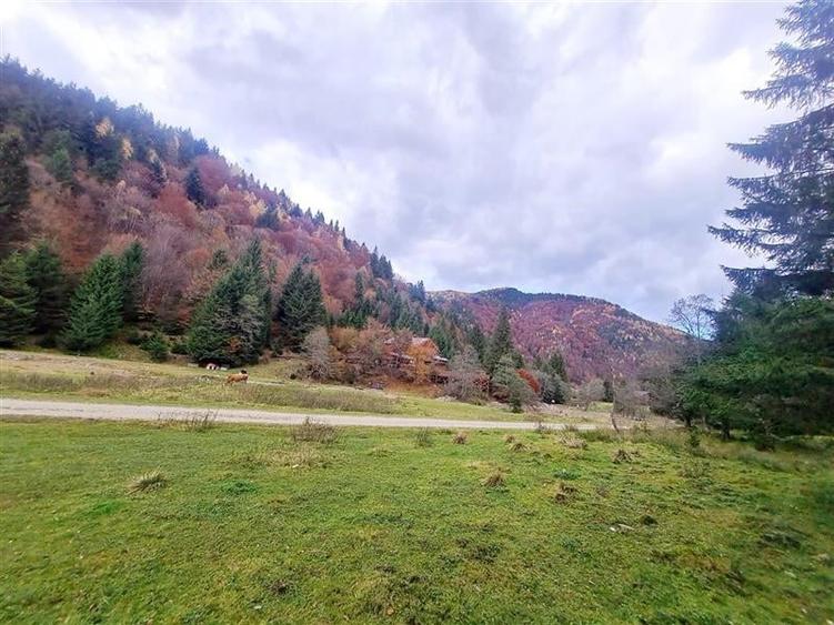 Teren intravilan panoramic 4.600mp,view iconic Piatra Craiului,oportunitate prem - 17