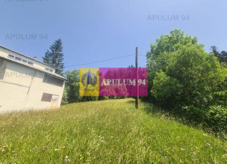 Teren de v&acirc;nzare &icirc;n Bușteni - Zona Zamora - 9