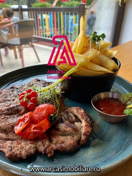 Afacere la Cheie Hotel de vanzare Statiunea Paltinis! - 5