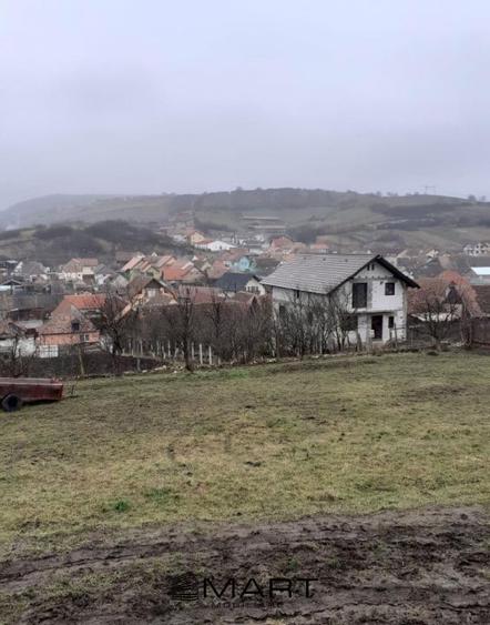 Hala in Sura Mare - 2