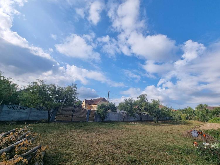 Anunt de Vanzare Teren in Viile Satu Mare Titlu: Teren Ideal pentru Constructie Strada Libertatii nr. 4 - 3