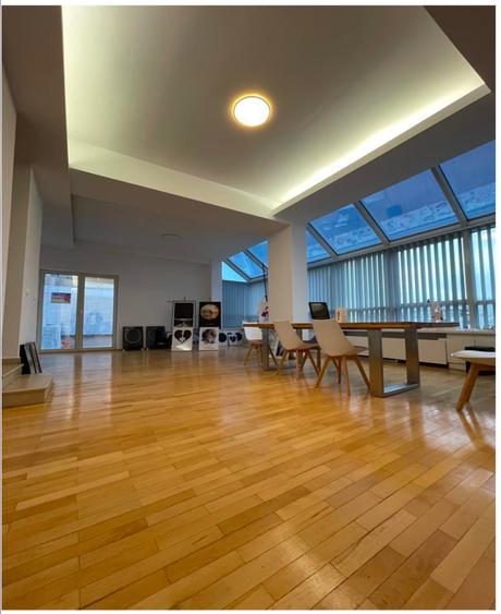 Bd Unirii apartament/birou  spatios  (110 mp+ terasa de 38mp) - 9