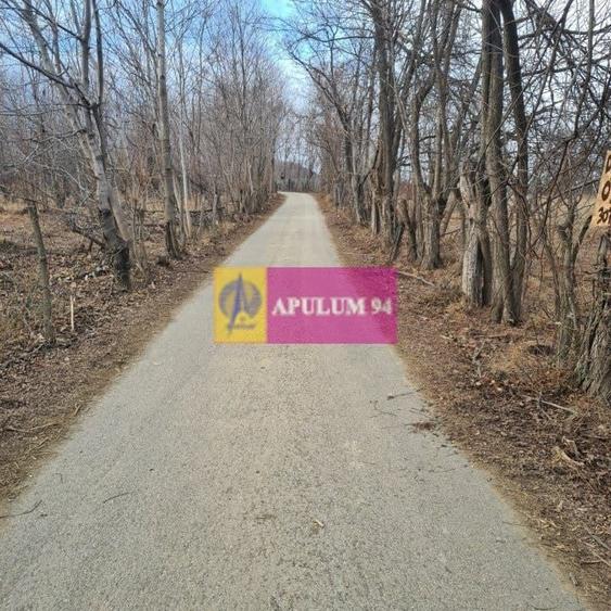 Teren intravilan de vanzare in Cornu de Jos - 3