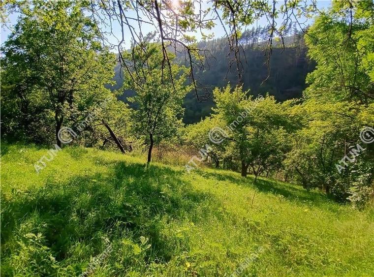 Casa traditionala din lemn cu 930 mp teren langa Sibiu - 28