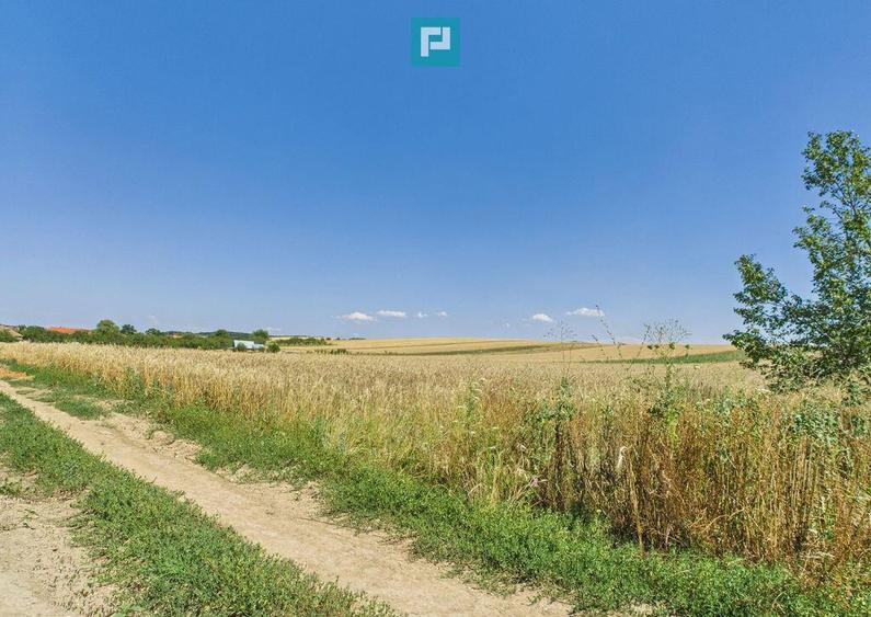 Teren intravilan + extravilan in Remetea Mica - 7