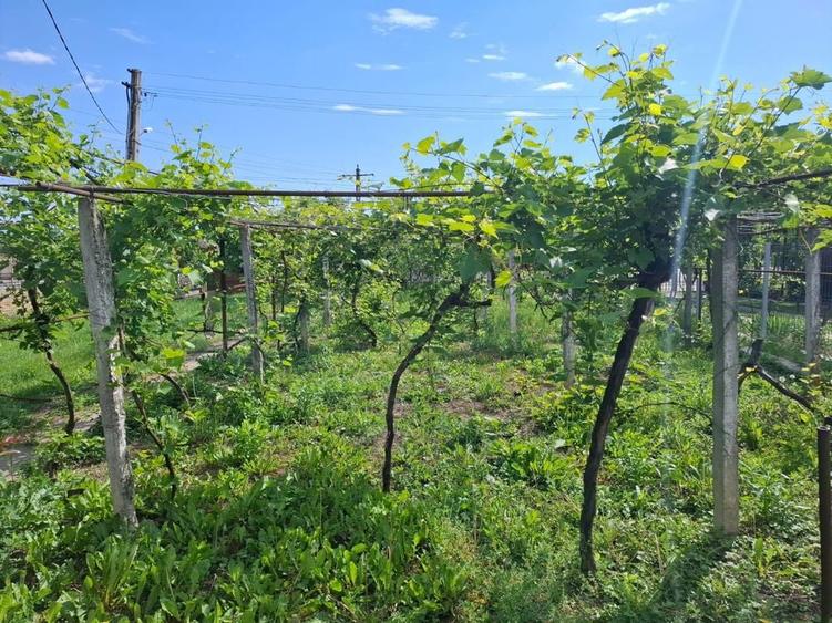 Casa + teren 1.000 mp, 20 m deschidere la strada principala, Vladuleni, Gorj - 3