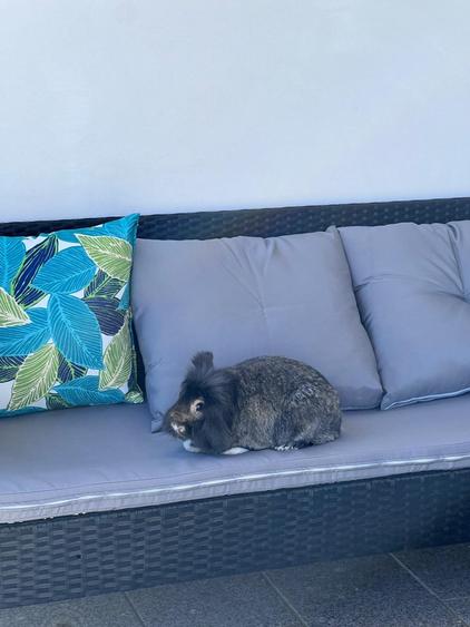 Luxuria Residence | Code MY032-02  |  620EUR+TVA - 22