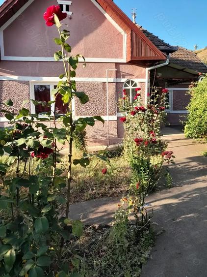 Casa de vanzare - 3