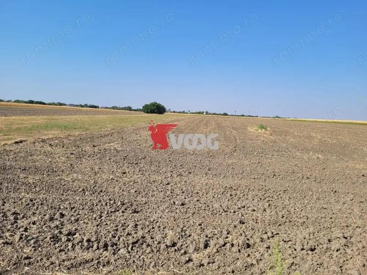 Teren intravilan Sag incepand de la 26.000! - 1