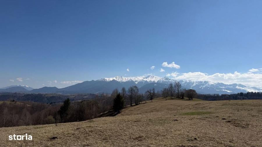 Teren 4584 mp de vanzare Pestera, Moeciu, Brasov - 8