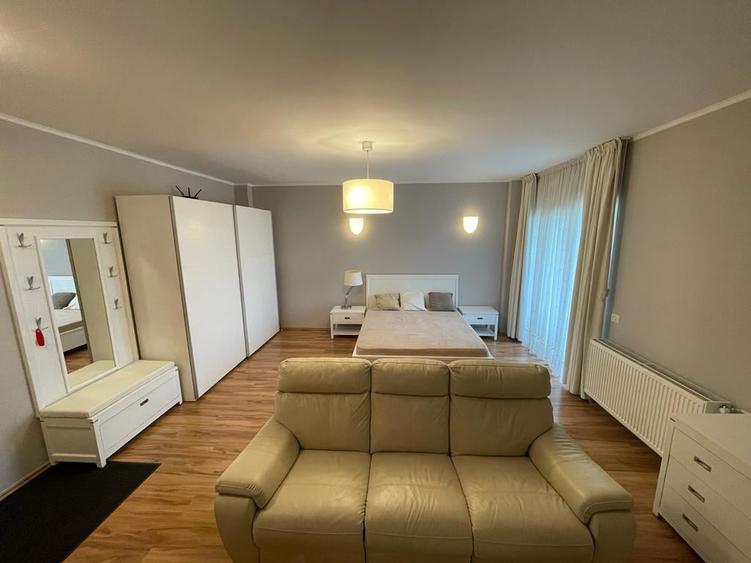 Cutitul de Argint, Parcul Tineretului - 3