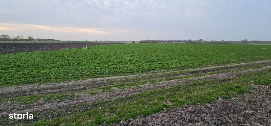 Teren de vanzare in Episcopia Oradea - 7