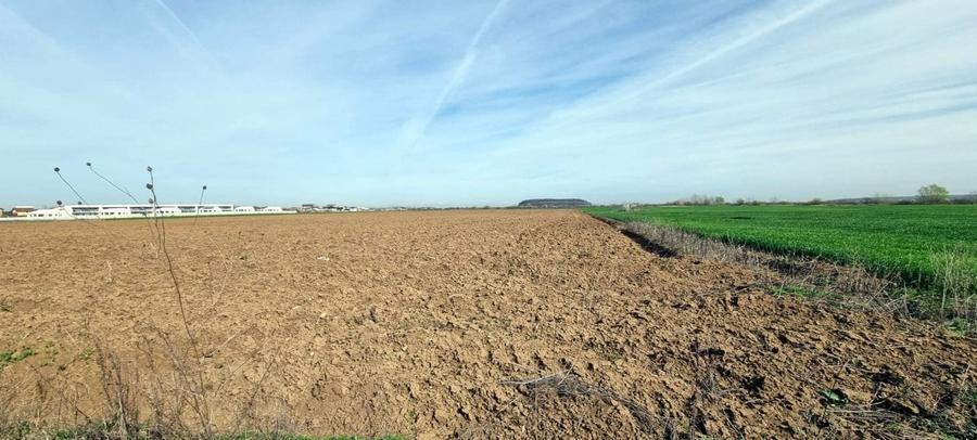 „Corbeanca – aer curat, potențial mare, preț competitiv. 3 loturi cu viitor.” - 6