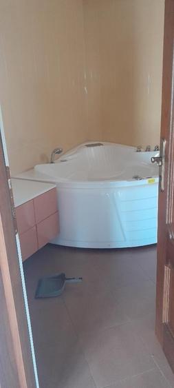 Piata Muncii-Calarasilor, vila 400mp /12 camere, curte 200mp - 16