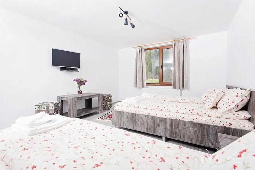 Pensiune/ cabana de vanzare Statiunea Colibita, zona premium - 4