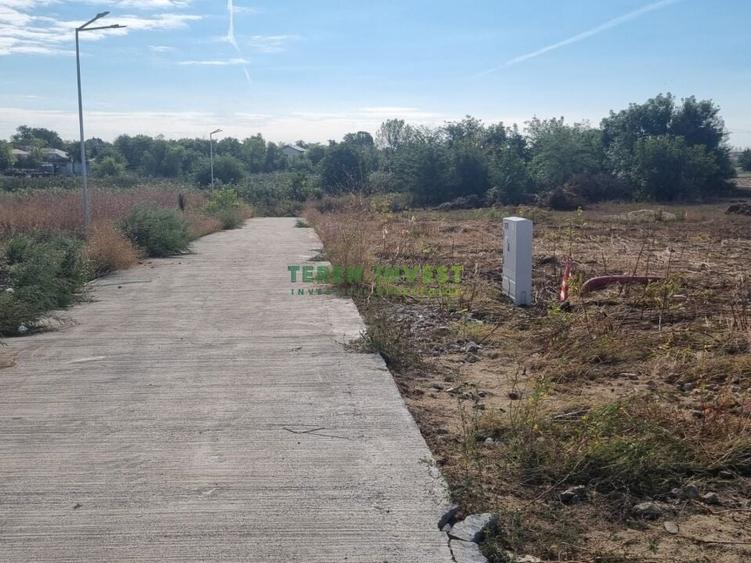 Proprietar ofer spre vanzare loturi teren - DN 4 Popesti-Frumusani - 10