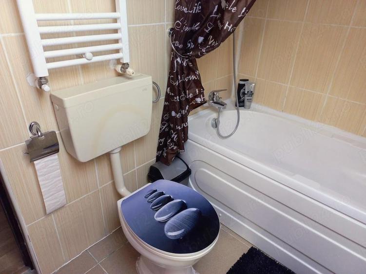 Apartament tip duplex Brancoveanu - 3