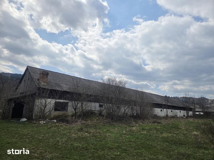 Spațiu comercial, de 560 mp, în Tulgheș