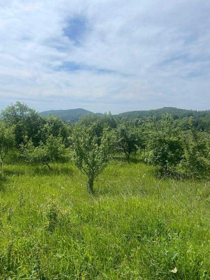 Teren de vanzare, peisaj superb, aproape de autostrada Pitesti-Sibiu - 8