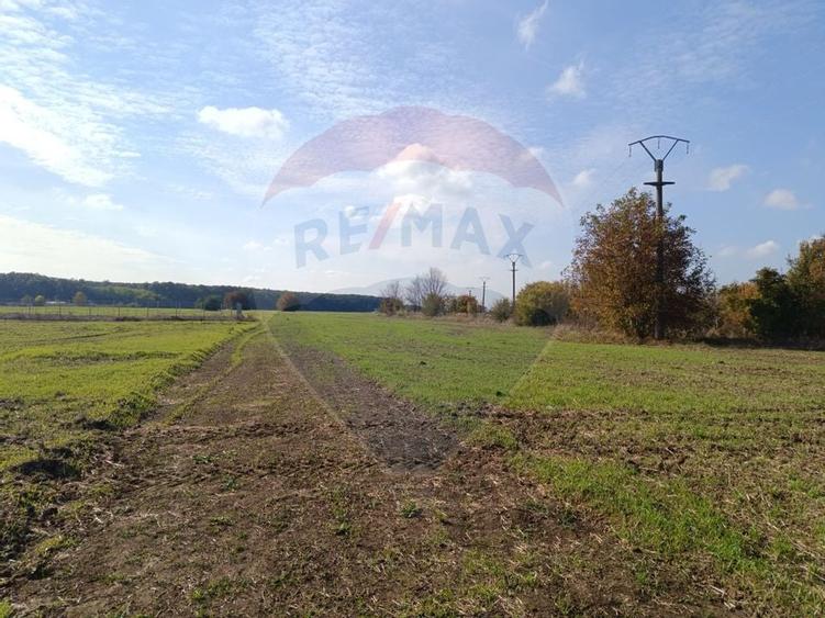 Teren 800mp Ghermanesti / Soseaua Ghermanesti - 7