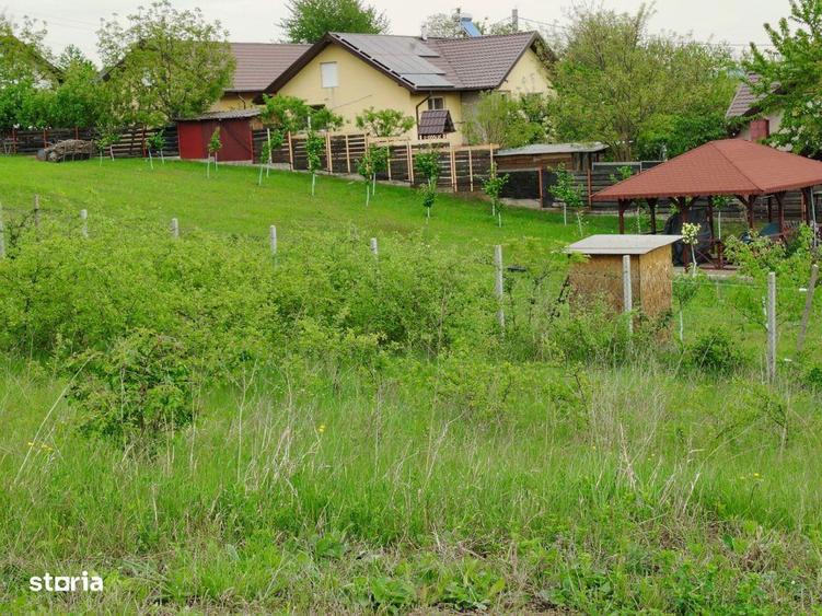 Teren intravilan, Ciurbesti, vedere la lac - 4