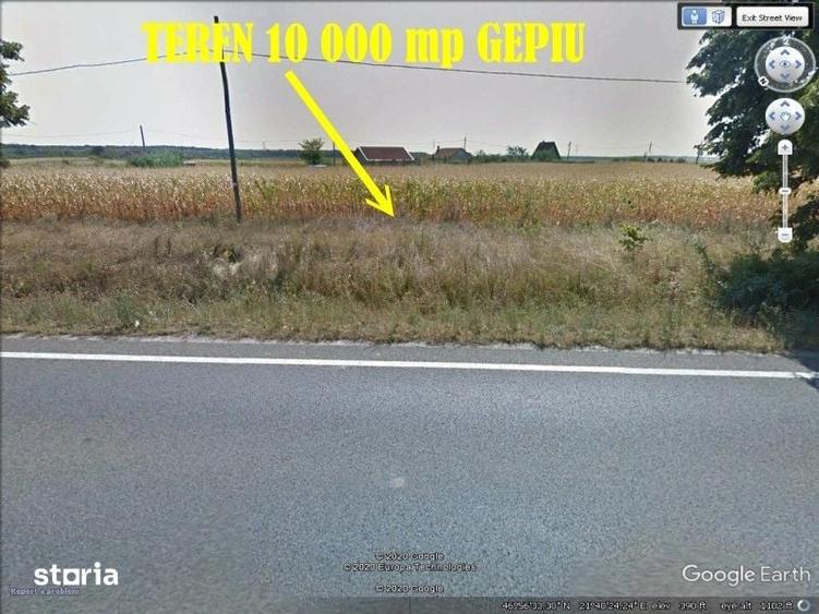 Teren de 10000 mp, în Gepiu